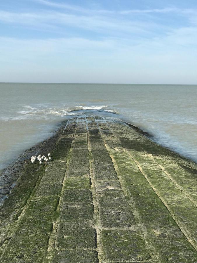 Into The Sea Daire Middelkerke Dış mekan fotoğraf